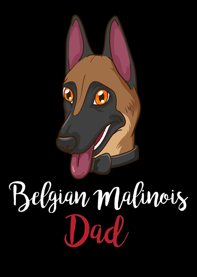 Belgian Malinois Shepherd