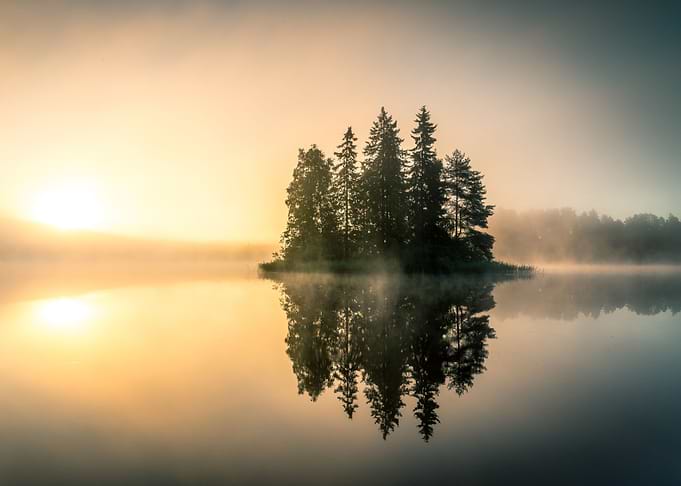 Foggy morning