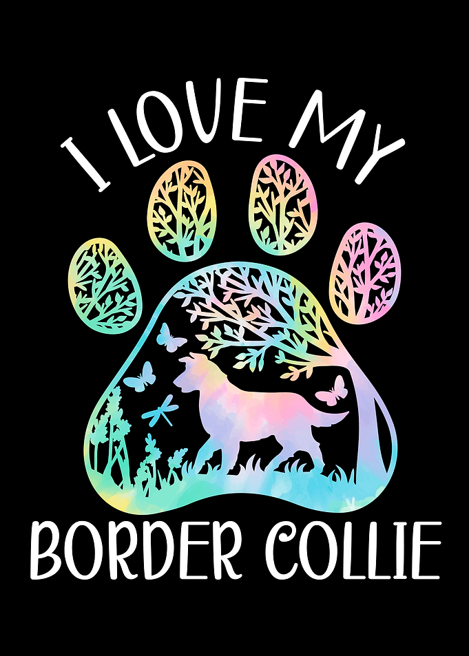 I Love My Border Collie