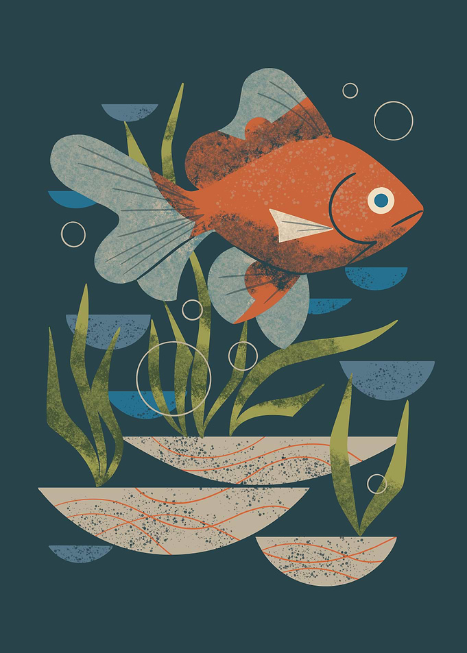 Swimming Fantail