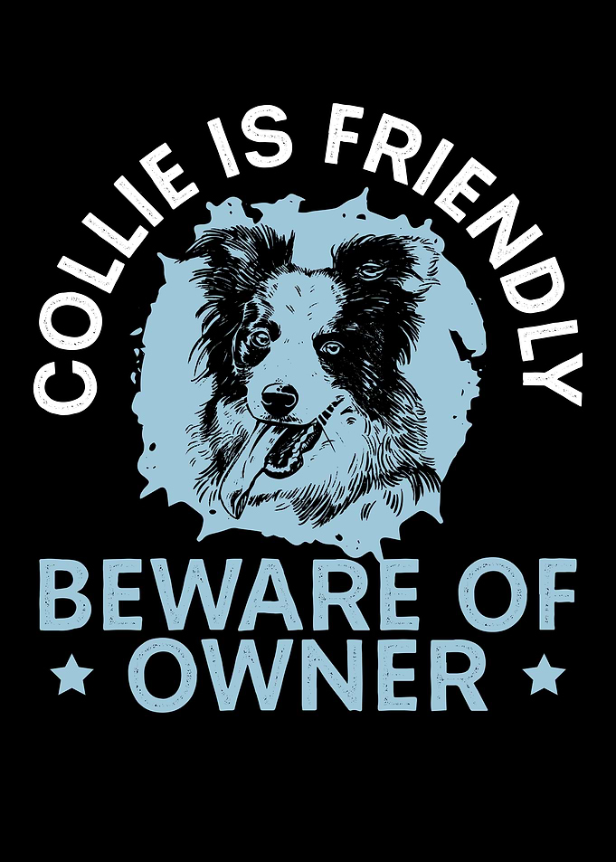 Collie Is Friendly