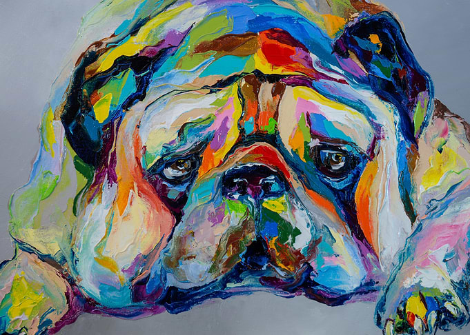 Sad pug