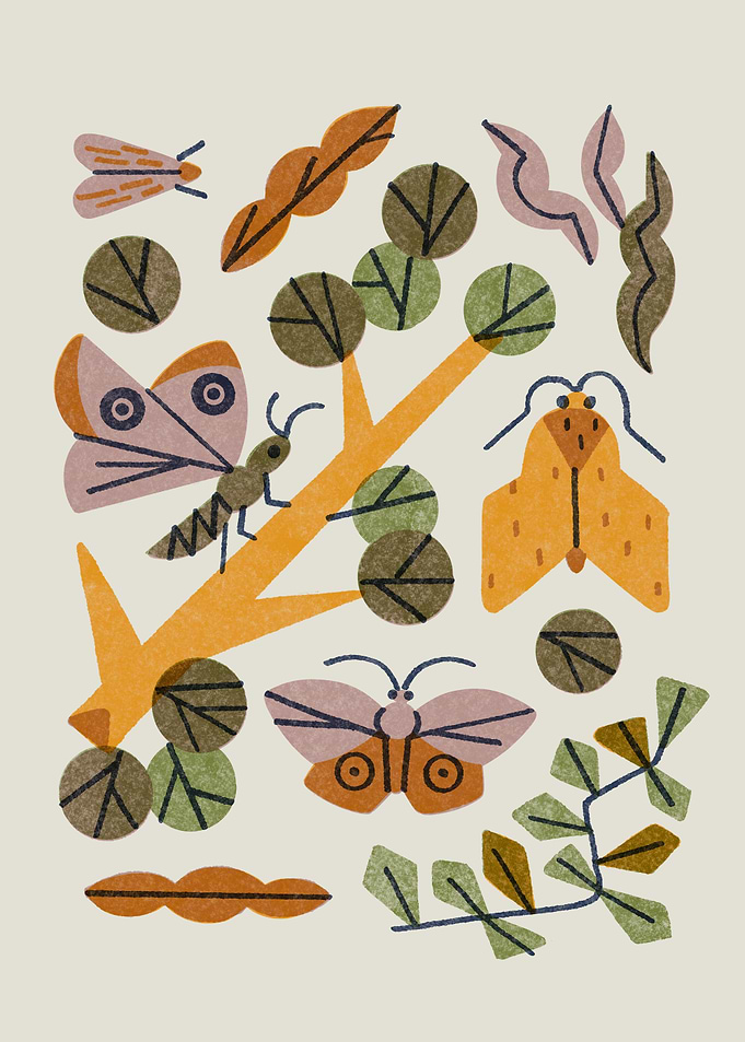 Moth Habitat