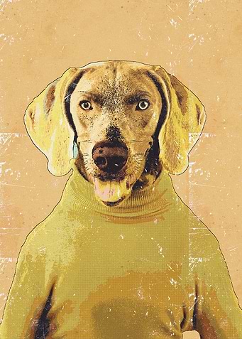 Dog Comic