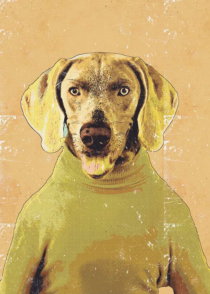 Dog Comic