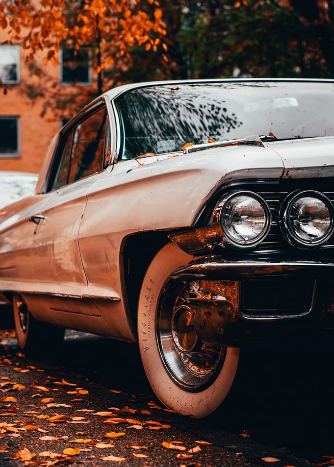 Autumn Vibes