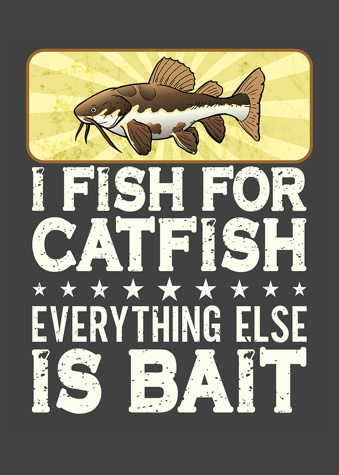 I Fish For Catfish