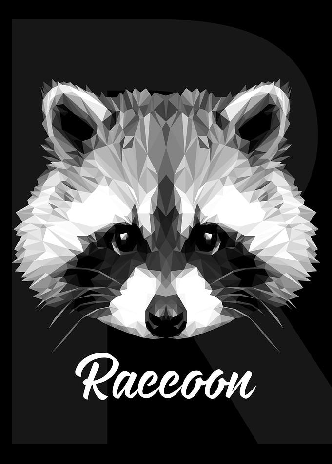 Raccoon