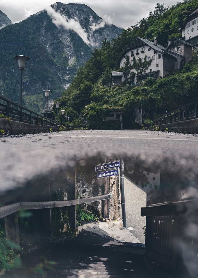 Choose the Way