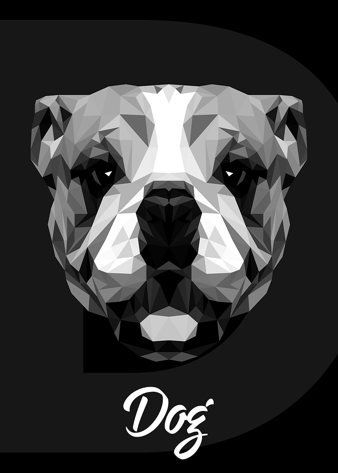 Bulldog