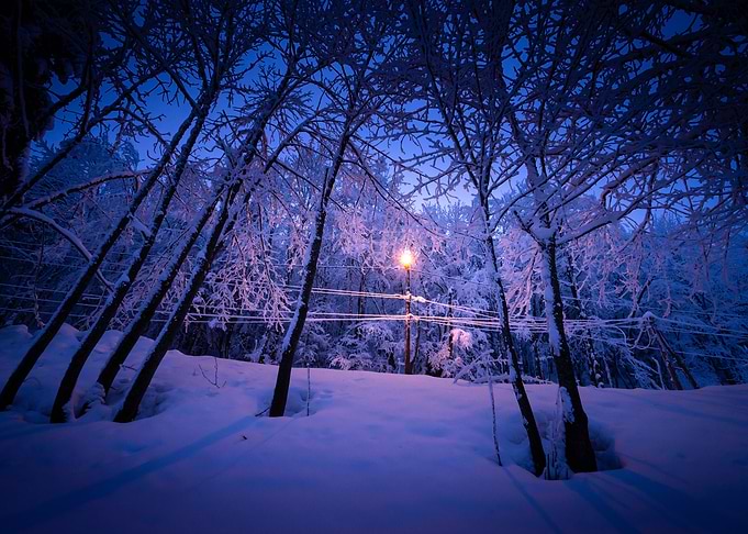 Freezing light post