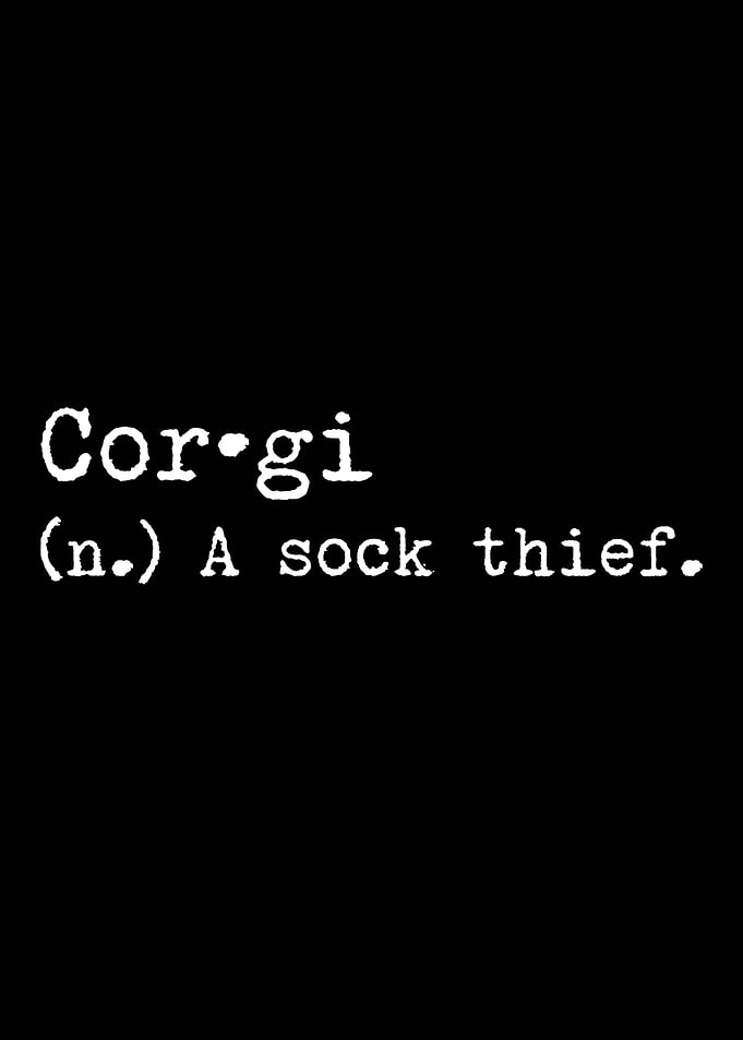 Corgi A Sock Thief
