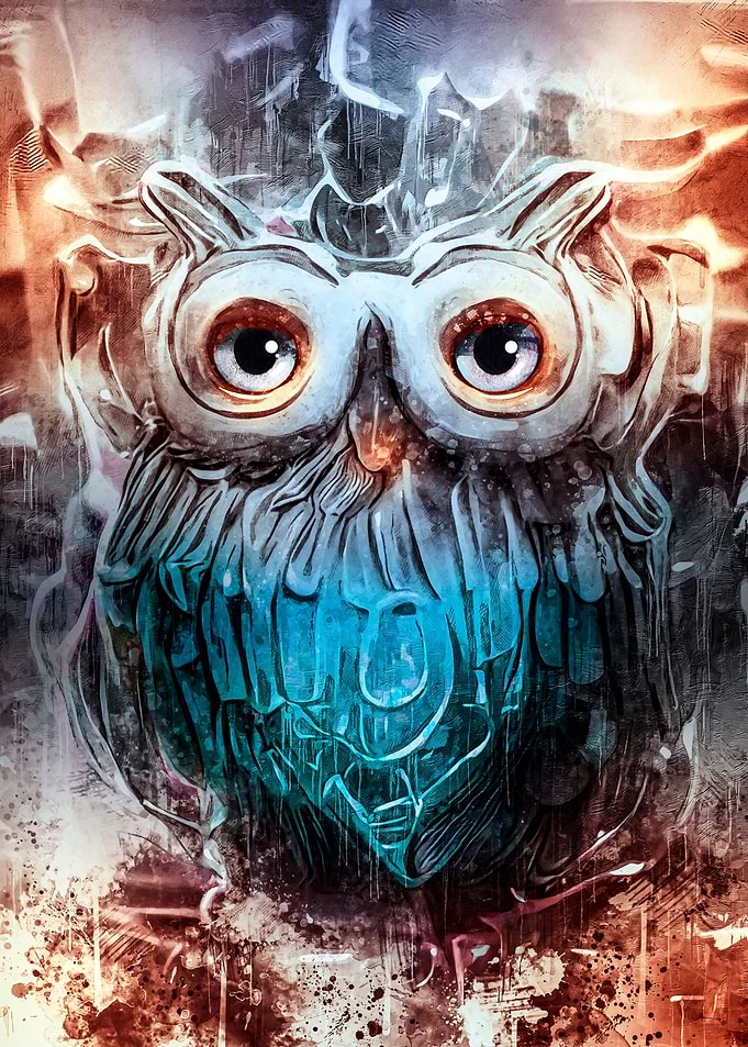 Owl world