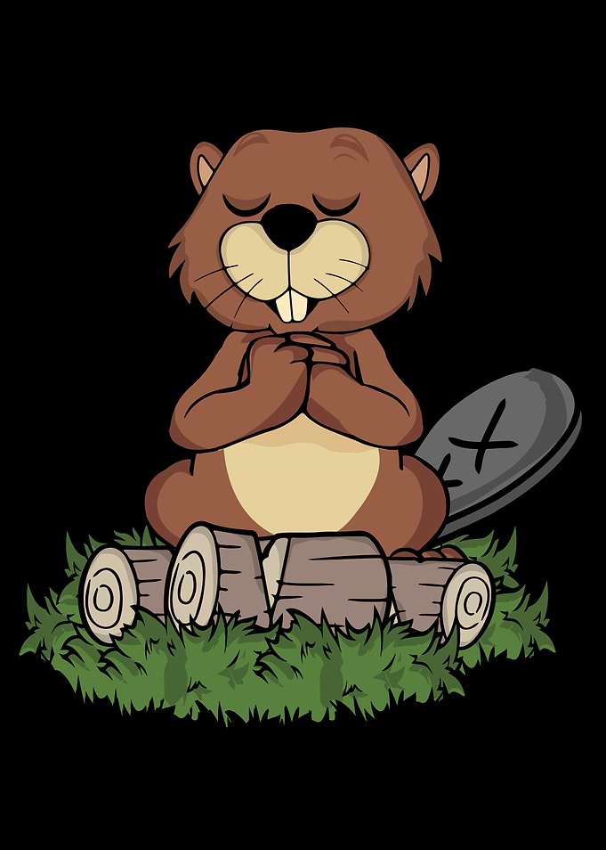 Yoga Beaver Meditation