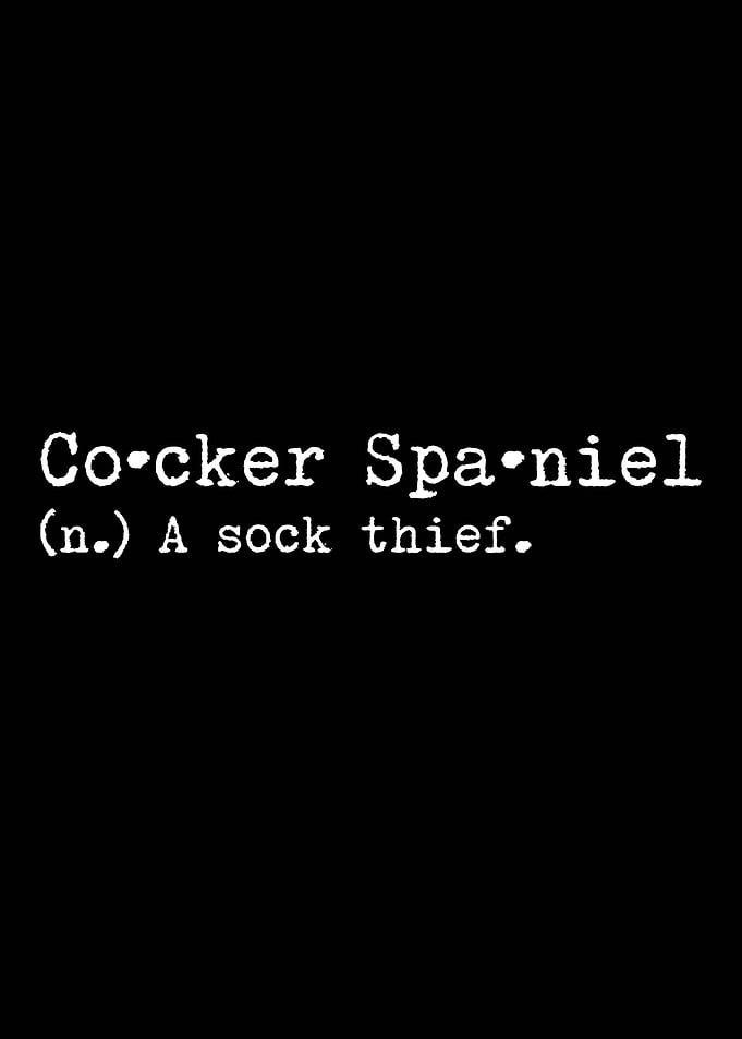 Cocker Spaniel Sock Thief