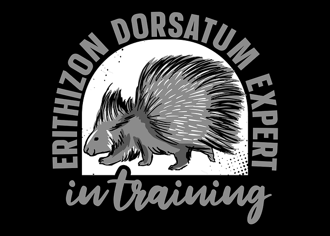 Porcupine