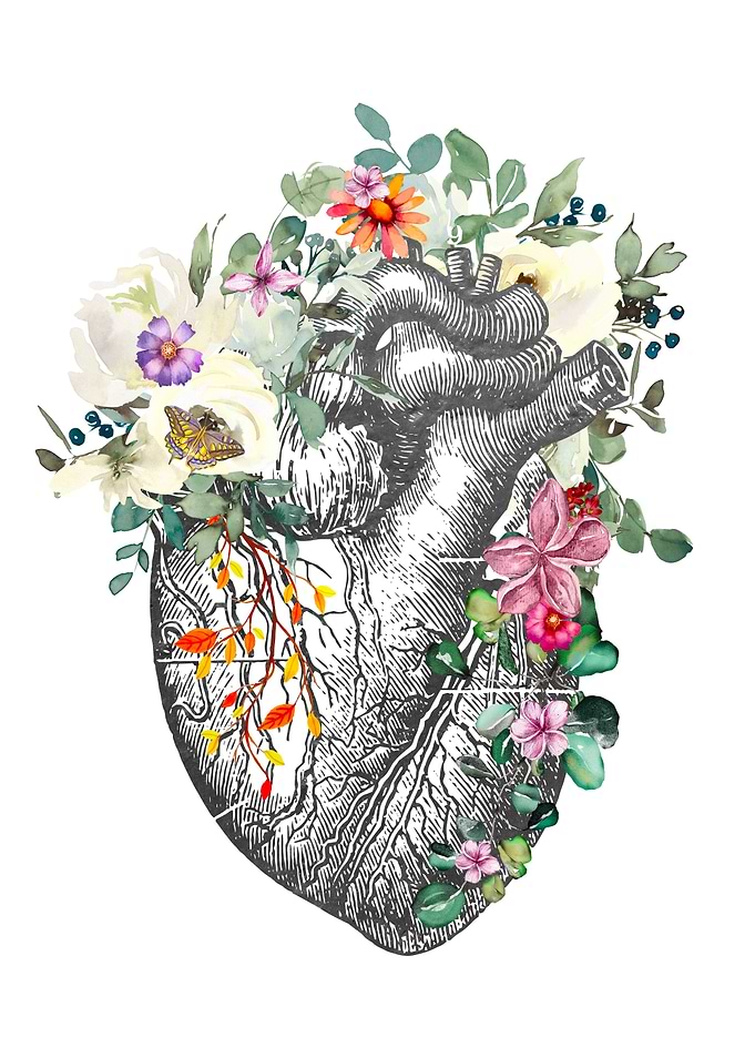 Heart Anatomy
