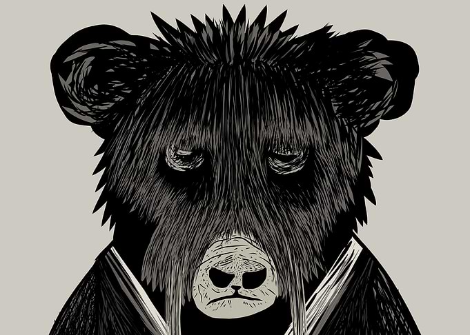 Bear and Bears