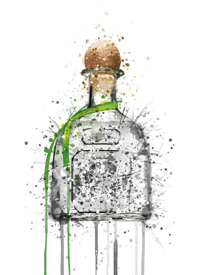 Patron Silver Tequila