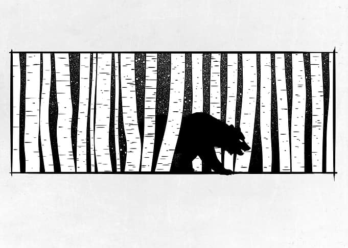 Bear and Bears