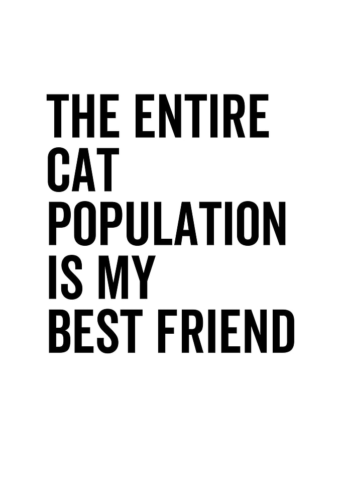 The Entire Cat Population