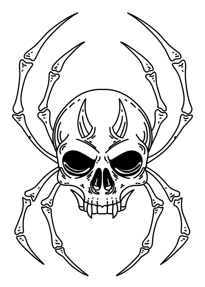 skull spider