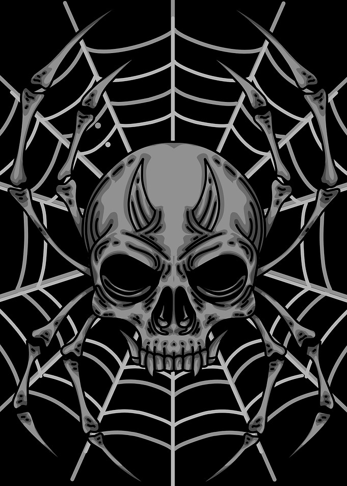 spider dark skeleton