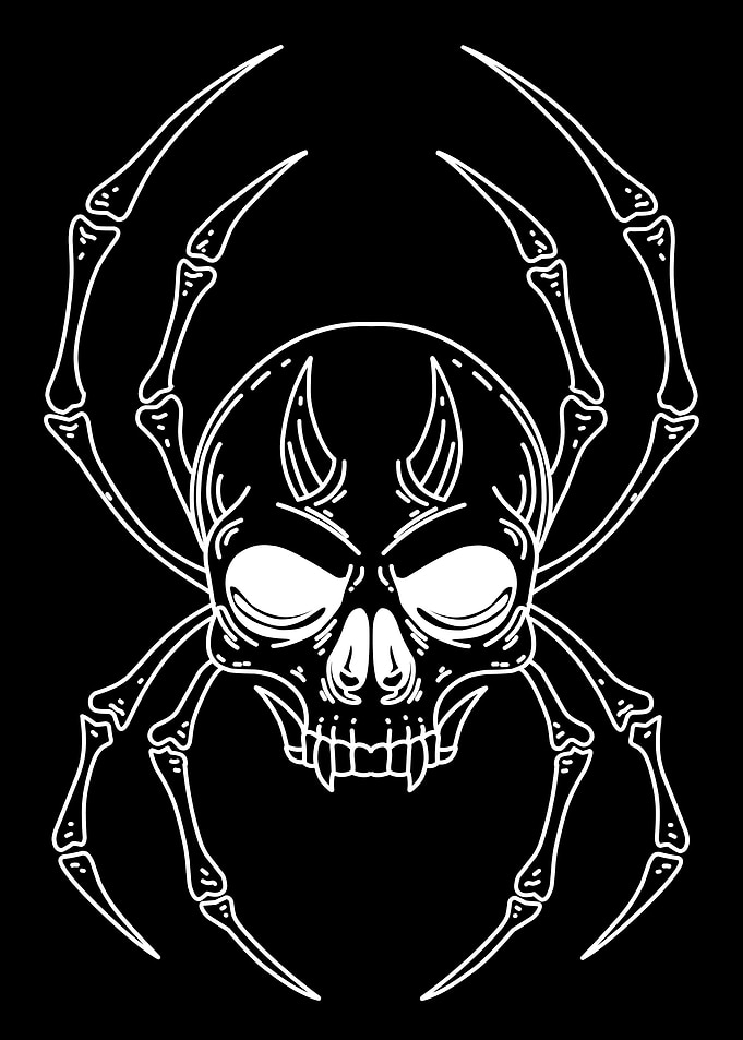 spider skull black