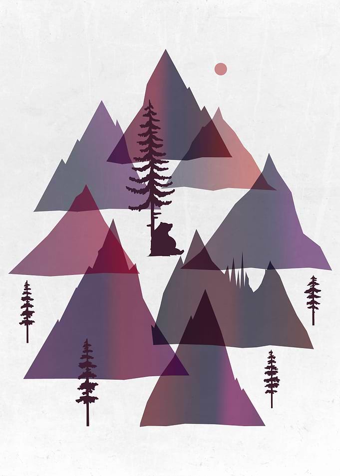 Bear and Bears