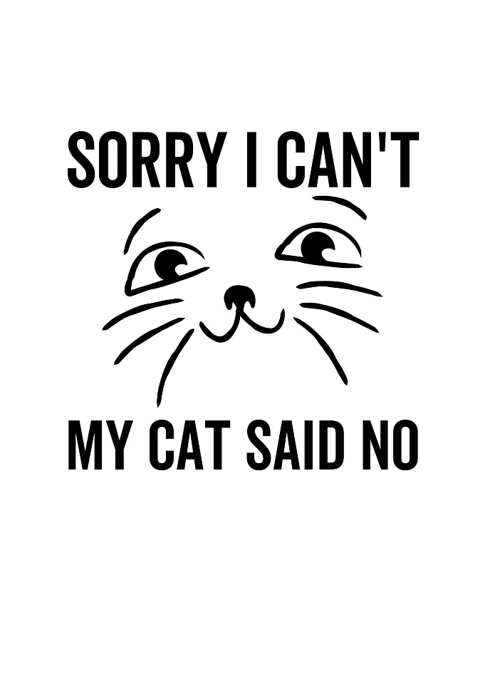 Sorry I Cant My Cat Said