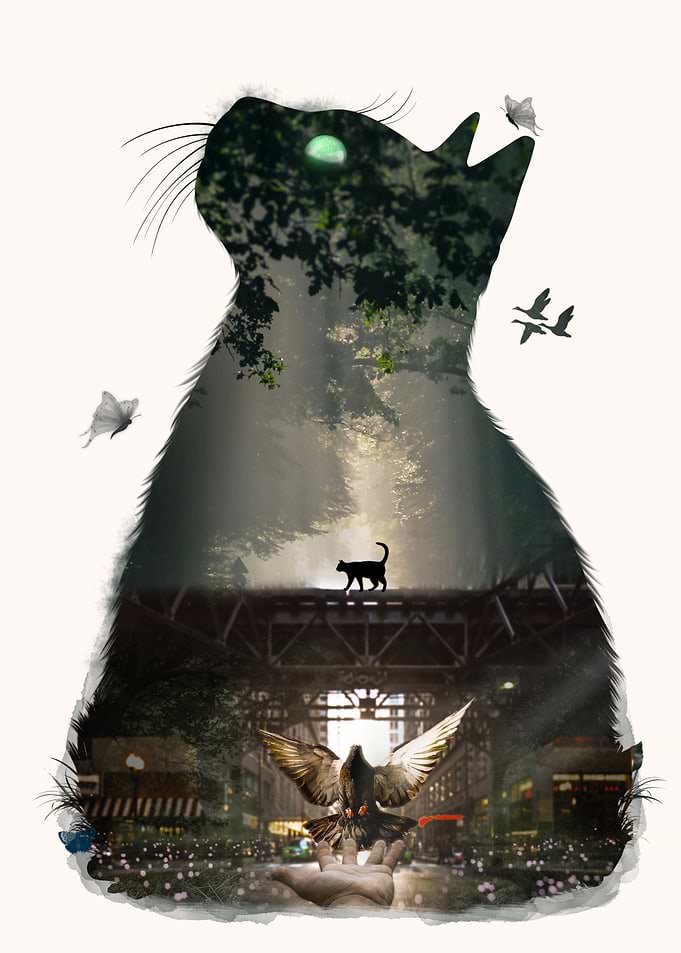 Dream cat