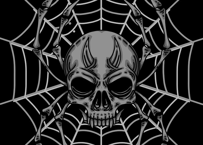 spider black skeleton