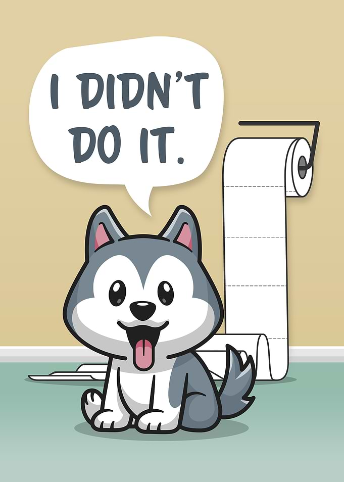 Funny Messy Dog Bathroom 1