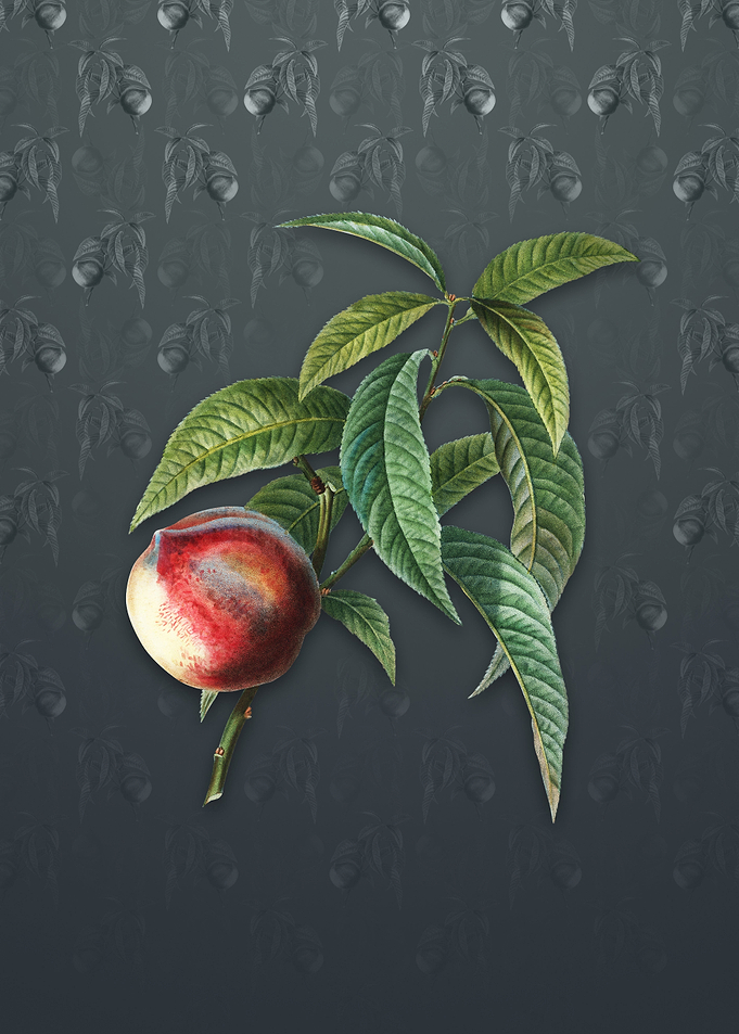 Peach on Slate Gray