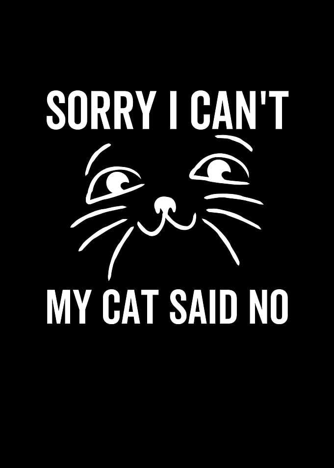 Sorry I Cant My Cat Said