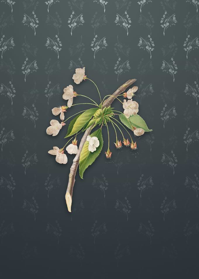 Vintage Cherry Plum Flower