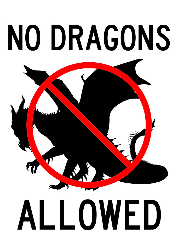 NO DRAGONS ALLOWED