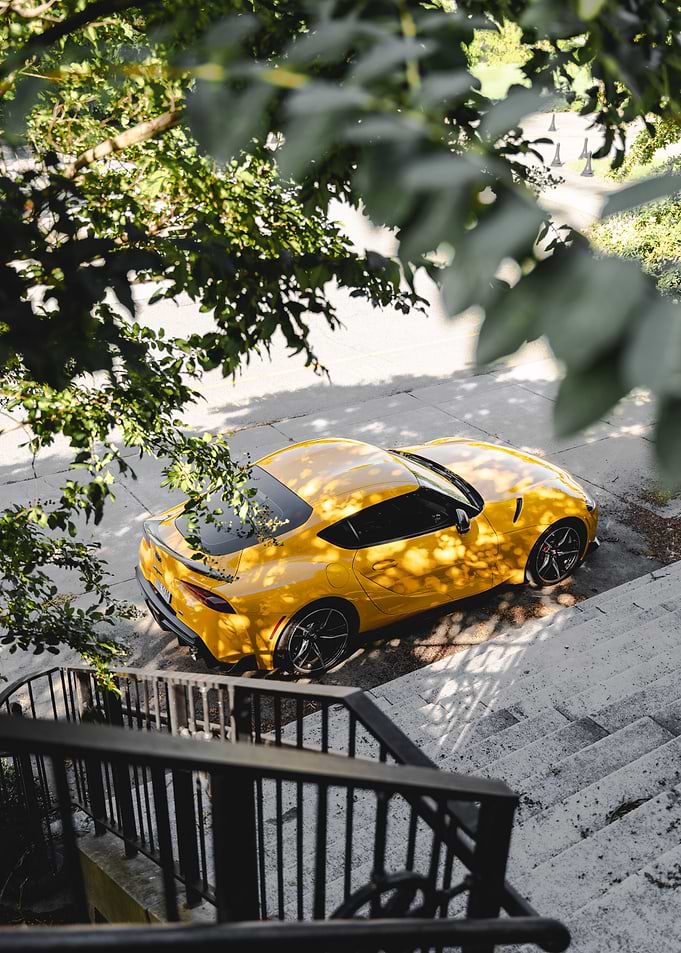 Supra through the trees