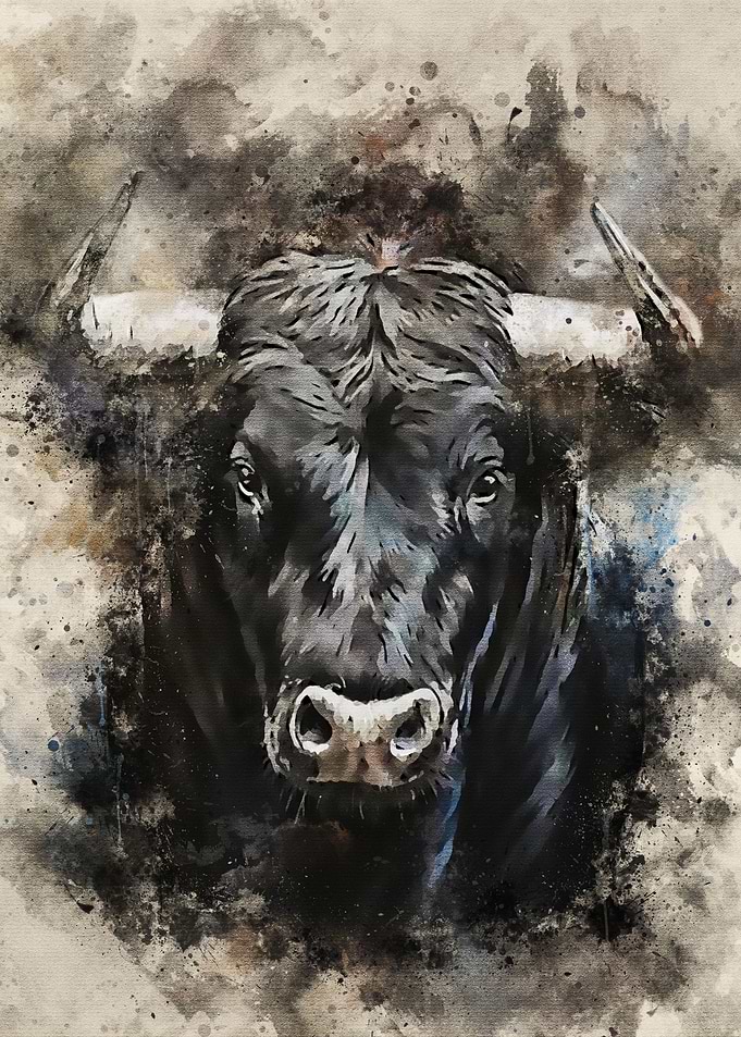 Bull