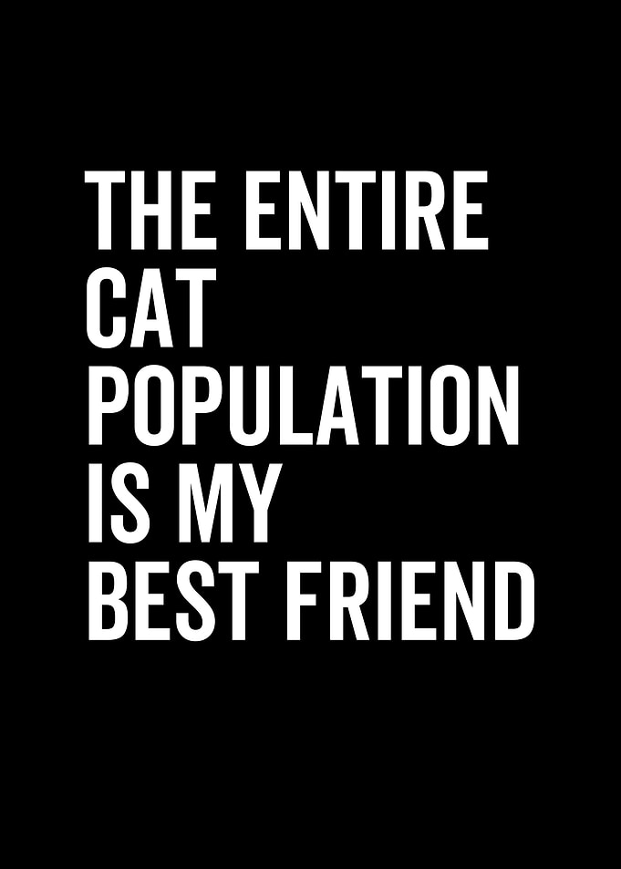 The Entire Cat Population