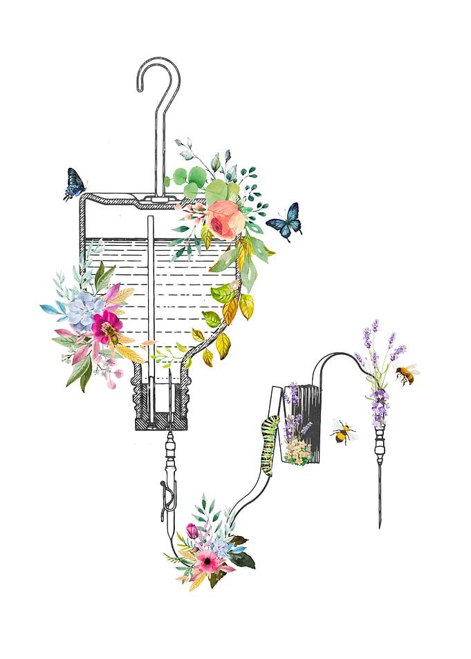 Intravenous Therapy
