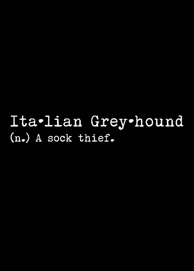 Greyhound A Sock Thief