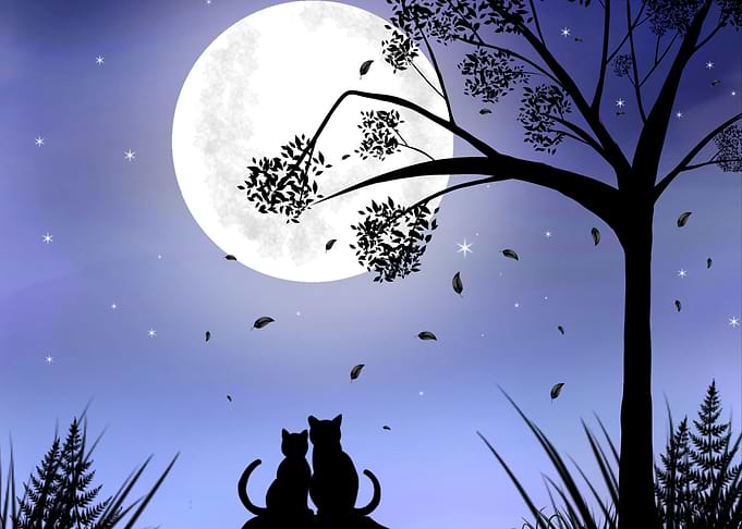 Two Cats at the Moonlight
