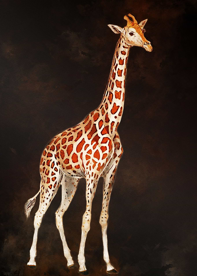 giraffe