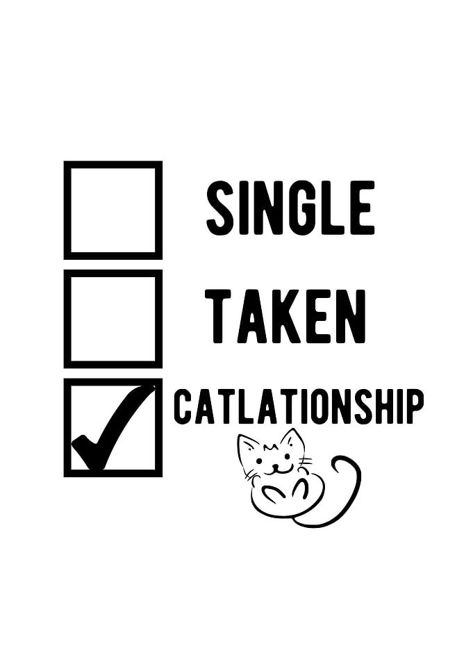 Single Taken Catlationship
