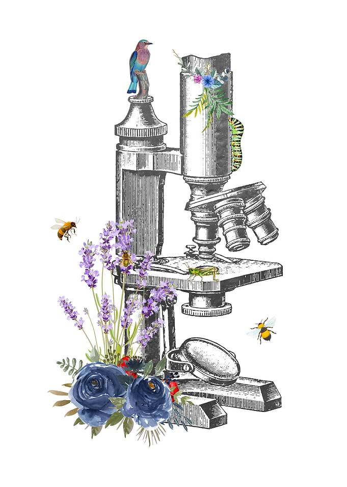 Microscope
