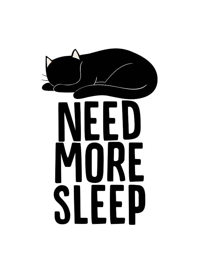 Cat Need More Sleep