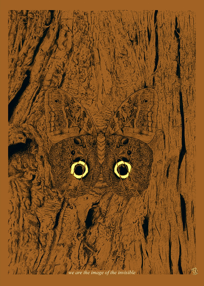 Image of the Invisible