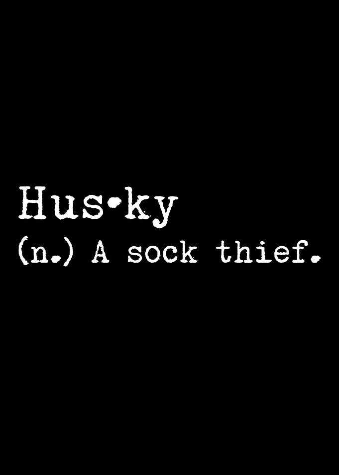 Husky A Sock Thief