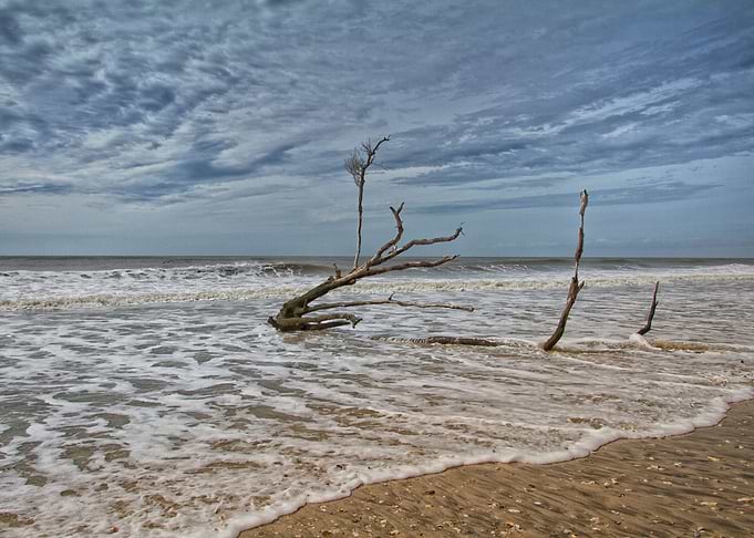 Edisto Beach Carolina